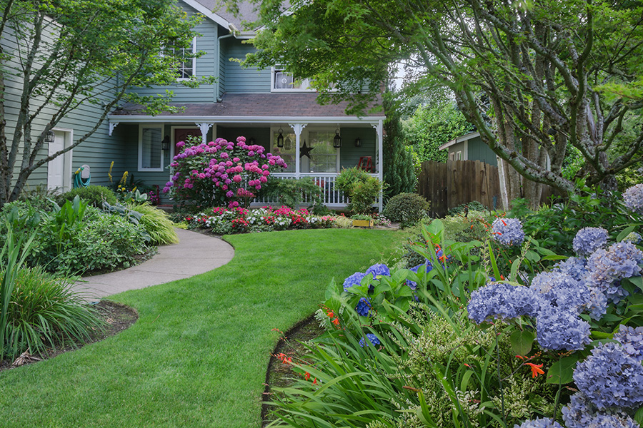 Entrance to a home through a beautiful garden, highlighted by rose and blue hydrangeas - Lebanon, IL